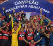 Flamengo Campeão Brasileiro 2020 - Brasileirão